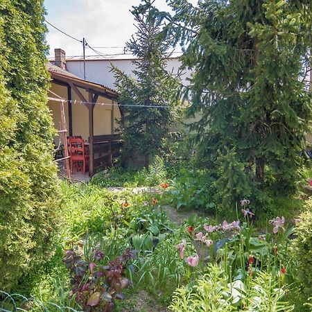 דירות ואמה וקה Old House מראה חיצוני תמונה