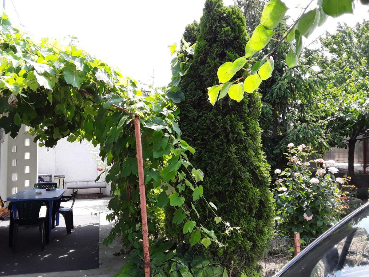 דירות ואמה וקה Old House מראה חיצוני תמונה